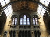 Natural History Museum Inside 2
